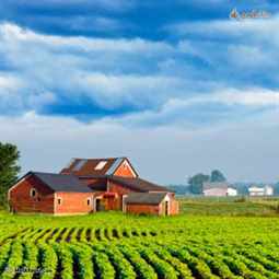 زندگی شهری بهتر است یا روستا؟