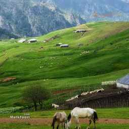 بهترین جای گیلان برای خرید ویلا 