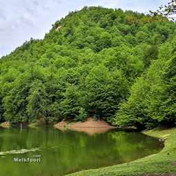 مناطق رو به رشد گیلان