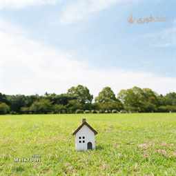 چرا همه دنبال خرید زمین در شمال هستند؟