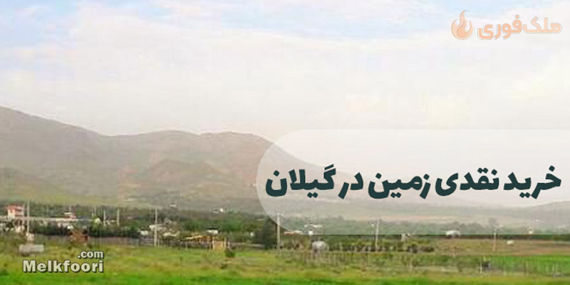 خرید نقدی زمین در گیلان