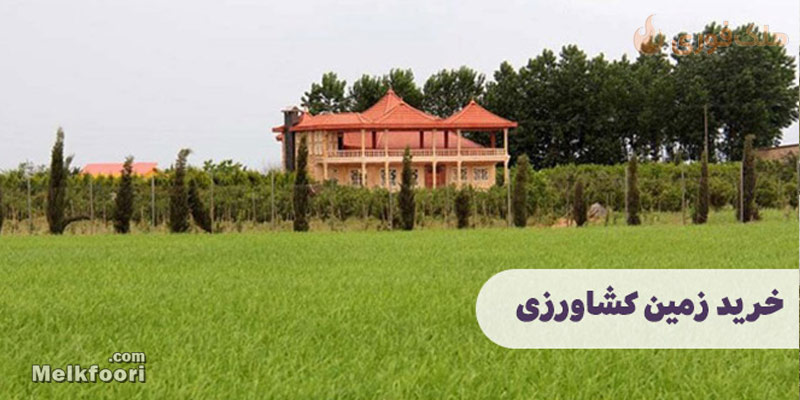 خرید زمین کشاورزی در گیلان