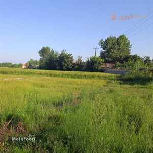فروش زمین زراعی در طرح هادی خشکبیجار 200 متری  با موقعیت عالی و امکان تغییر کاربری مناسب برای ساخت و ساز و سرمایه گذاری در خطه ساحلی گیلان