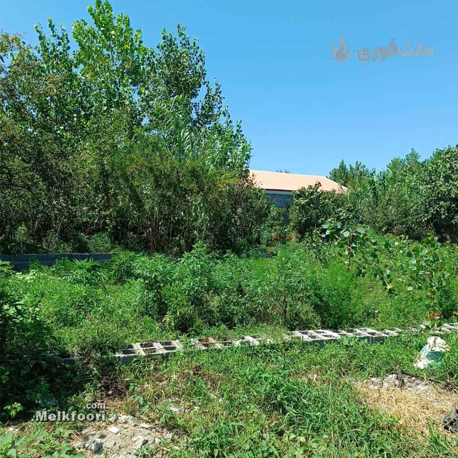 خرید زمین ساحلی در گیلان خشکبیجار با کاربری مسکونی  متراژ زمین 150 متر فاصله تا دریا زیر 5000 الی 10000 متر  قیمت ملک 750 میلیون تومان