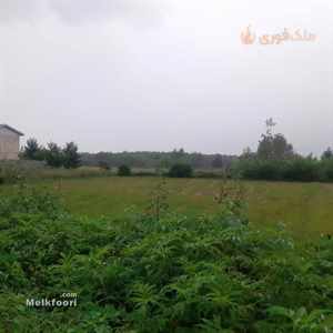 فروش زمین زراعی در چوکده خشکبیجار 5000 متر