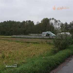 خرید زمین  ساحلی در گیلان با کاربری مزرعه متراژ زمین 2660 متر فروش نقدی قیمت کل 5 میلیارد تومان