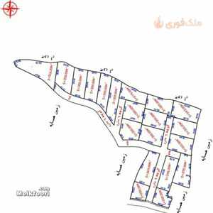فروش زمین  ساحلی در استان گیلان با کاربری باغی مسکونی متراژ زمین 7000 متر مناسب سرمایه گذاری قیمت 4 میلیارد تومان