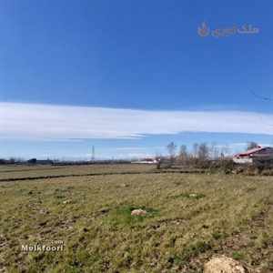 فروش زمین  ساحلی در استان گیلان با کاربری باغ متراژ زمین 250 متر مناسب سکونت - تفریح - سرمایه گذاری قیمت 850 میلیون تومان