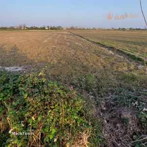 خرید زمین  در گیلان خشکبیجار با کاربری مزرعه متراژ زمین 2700 متر قیمت ملک 800 میلیون تومان