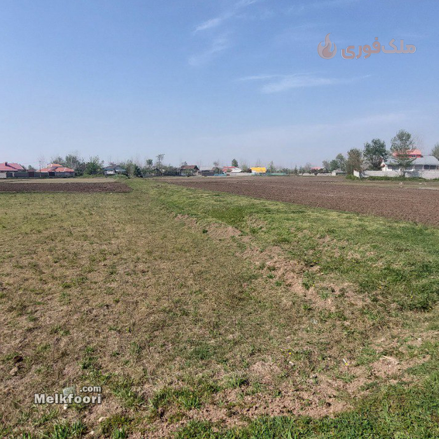 خرید زمین  در گیلان خشکبیجار با کاربری مزرعه متراژ زمین 3500 متر قیمت ملک 1 میلیارد تومان