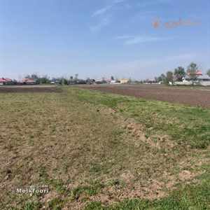خرید زمین  در گیلان خشکبیجار با کاربری مزرعه متراژ زمین 3500 متر قیمت ملک 1 میلیارد تومان