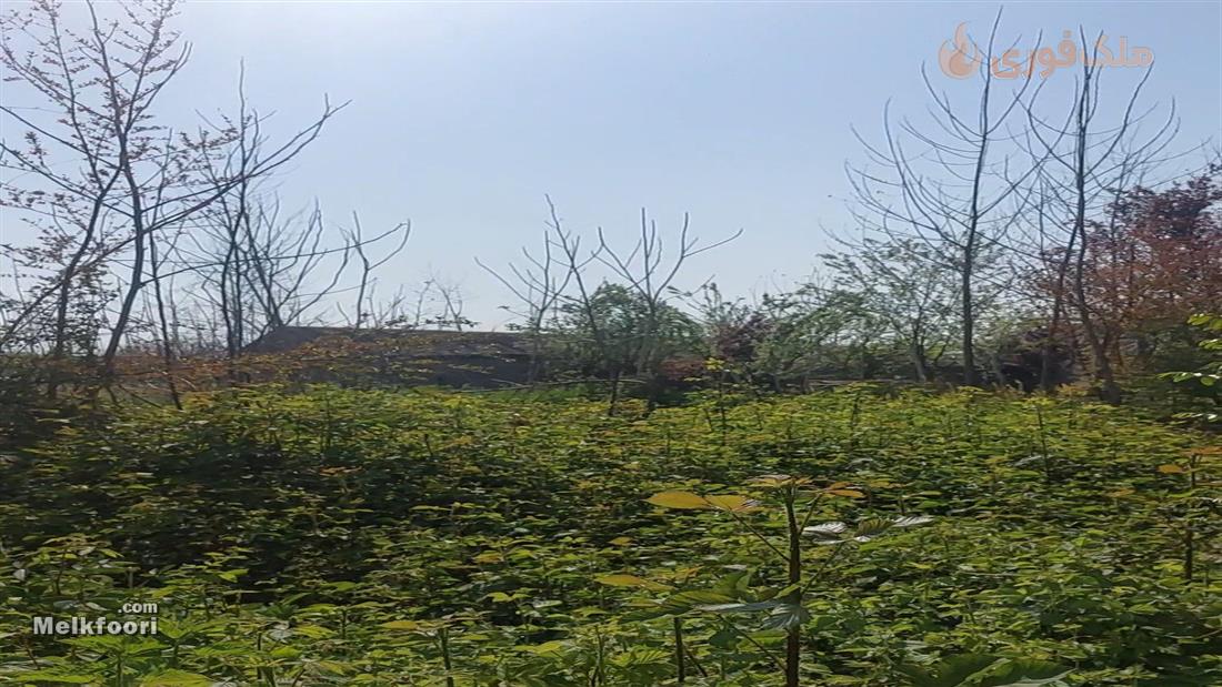 خرید آپارتمان  در گیلان فروش نقدی قیمت کل 700 میلیون تومان