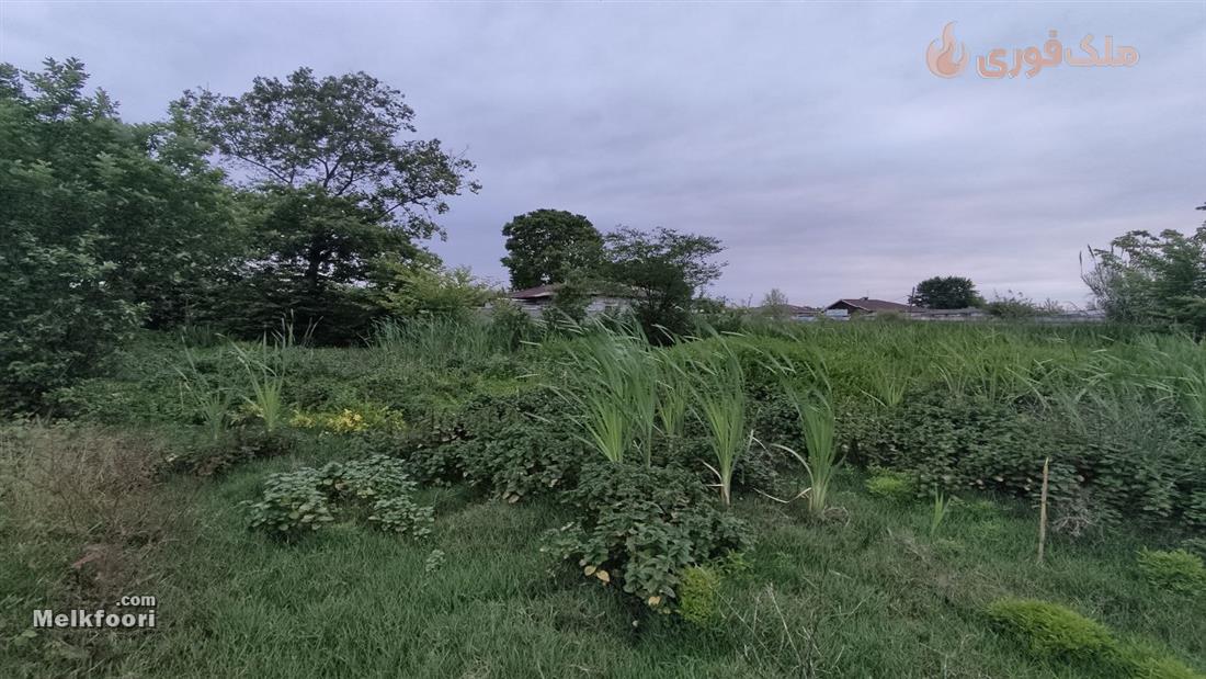 خرید زمین  در گیلان با کاربری مسکونی متراژ زمین 110 متر فروش نقدی قیمت کل 825 میلیون تومان