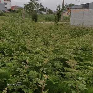 فروش زمین  در گیلان دارسازی با کاربری تجاری و مسکونی متراژ زمین 600 متر قیمت 6 میلیارد تومان