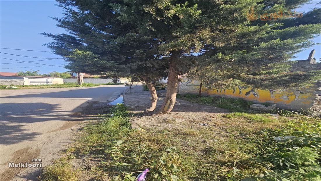 فروش زمین  ساحلی در گیلان زیباکنار با کاربری مسکونی متراژ زمین 260 متر قیمت 3 میلیارد تومان